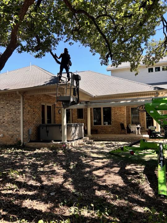 Jackson Lawn Care LLC tree work